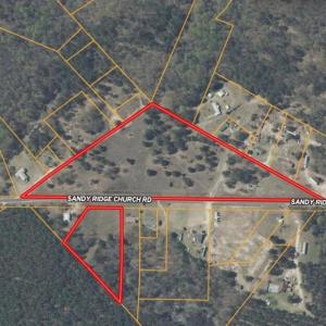 Screenshot_17-2-2026_233817_id.land