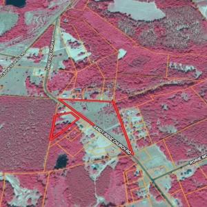 Screenshot_17-2-2026_234444_id.land