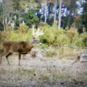 B3527D54-A67C-4521-B096-635979B4C57E-pre