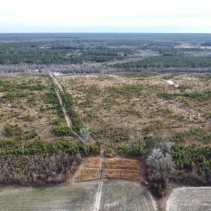 DJI_0607