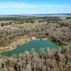 dji_fly_20250218_115914_175_173990012019