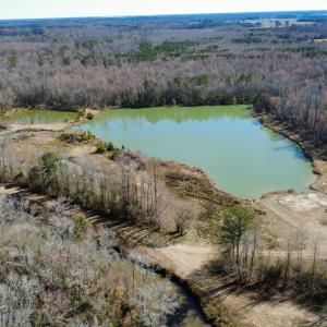 dji_fly_20250218_110452_143_173989560774