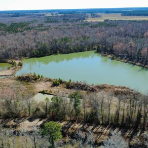 dji_fly_20250218_110622_144_173990057904