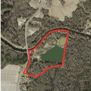 Screenshot 2026-02-17 at 1.17.35PM