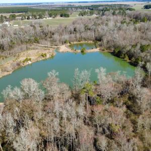 dji_fly_20250218_113222_155_173990038186