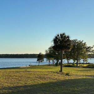 246 AMPHITHEATER DRIVE