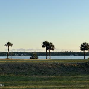 246 AMPHITHEATER DRIVE