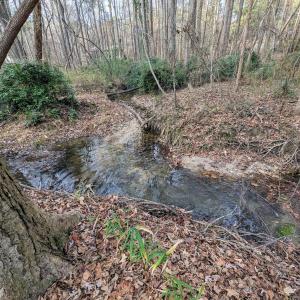 creek 2