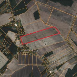 Screenshot 2026-02-20 at 1.41.19PM