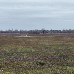 IMG_1214