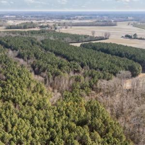 4-web-or-mls-DJI_20260121125534_0527_D