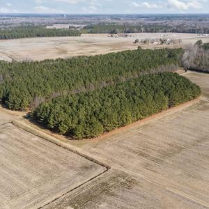 2-web-or-mls-DJI_20260121125428_0525_D