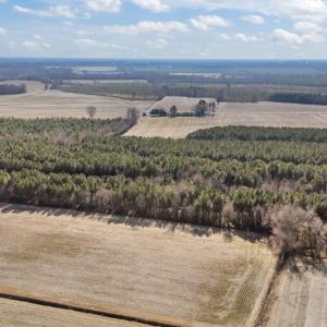 7-web-or-mls-DJI_20260121130413_0531_D