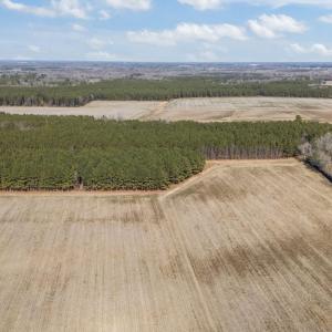 5-web-or-mls-DJI_20260121125648_0528_D