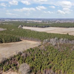 6-web-or-mls-DJI_20260121125744_0529_D