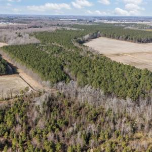 9-web-or-mls-DJI_20260121130605_0534_D