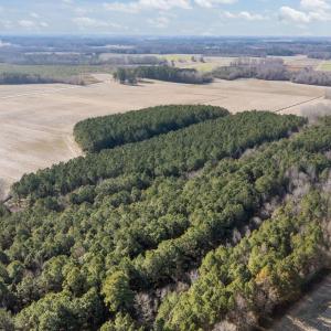 8-web-or-mls-DJI_20260121130502_0532_D