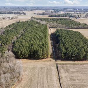 3-web-or-mls-DJI_20260121125507_0526_D