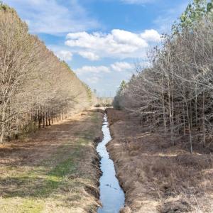 View of stream