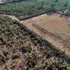 DJI_20260213145931_0051_D