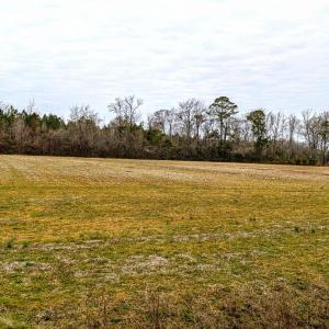 PXL_20260209_145520780~2