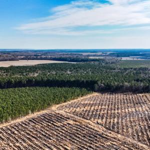 dji_20260104133658_0007_d