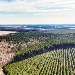 dji_20260104133619_0006_d