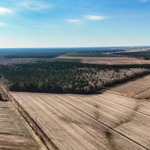 dji_20260104133314_0002_d