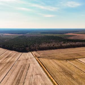 dji_20260104133241_0001_d