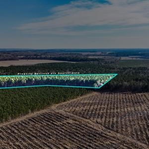 10.45 acres