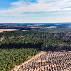 dji_20260104133749_0008_d