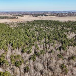 dji_20260104134719_0019_d