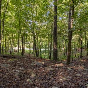 morerhead-traditional-016