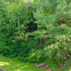 taralyn-11608-morehead-004