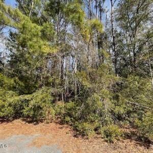 Lot 38 Cedar Find pic