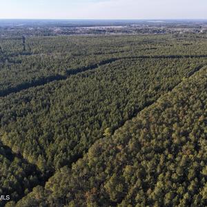 dji_fly_20260214_161534_0158_17711038260