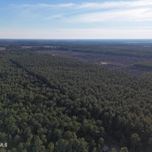 dji_fly_20260214_161242_0152_17711038512