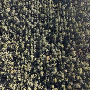 dji_fly_20260214_161520_0156_17711038347