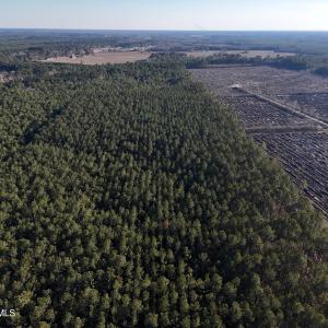 dji_fly_20260214_161526_0157_17711038303