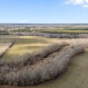 10-web-or-mls-DJI_20260223152811_0037_D