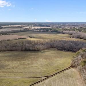 12-web-or-mls-DJI_20260223152847_0039_D