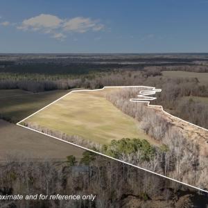 16-web-or-mls-DJI_20260223152604_0033_D_