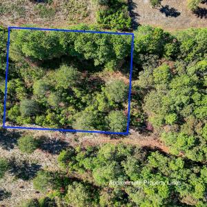 Lot Lines for Double Sea Lavender Lots