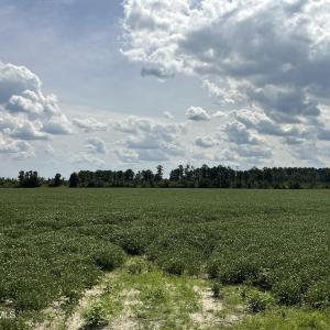 IMG_0396