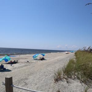 IMG_0295