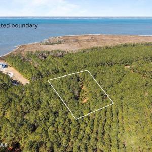Estimated boundary