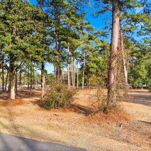 shniderproductions.com-12