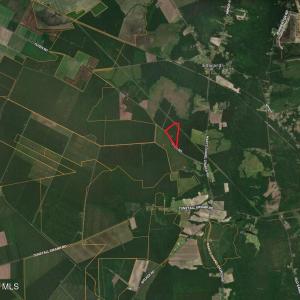 Screenshot 2026-02-26 at 1.09.36PM