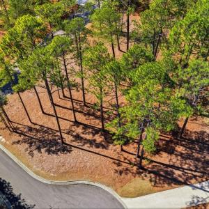 DJI_20260224122048_0026_D