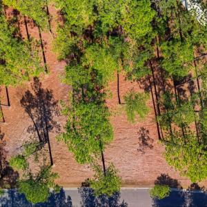 DJI_20260224122346_0053_D